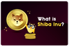 ❓ What Is Shiba Inu?