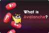 ❓ What Is Avalanche?