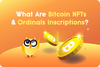 ❓ What Are Bitcoin NFTs & Ordinals Inscriptions?