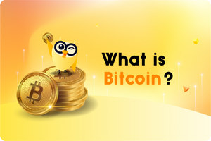 ❓ What Is Bitcoin?