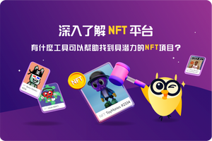 🏦 深入了解 NFT 平台，有什麼工具可以幫助找到具潛力的 NFT 項目？