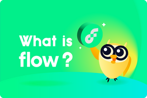 ❓ What Is Flow (FLOW)?