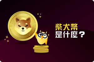 ❓柴犬幣是什麼? 一定要喜歡柴犬才可以買?